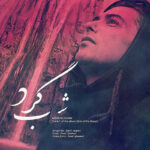 دانلود آهنگ مهران فهیمی شب گرد